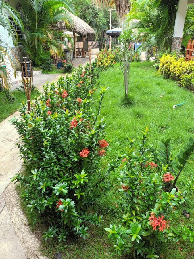 Hostal Cuyagua Palomino Ngoại thất bức ảnh