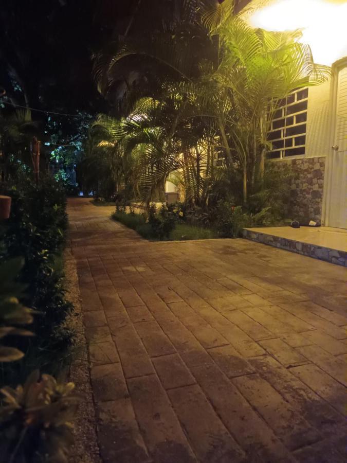 Hostal Cuyagua Palomino Ngoại thất bức ảnh